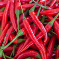 Cayenne Pepper Seeds for Planting Outdoors | Non GMO Heirloom Seed Packets | Full Planting Instructions to Plant & Grow Vegetables in Home Garden | 100 Cayenne Pepper Seeds Per Packet, 2 Packets