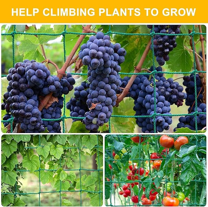 Garden Trellis Netting for Climbing Plants Outdoor, 6.6x16.4 FT Plant Netting for Cucumber, Tomato, 27 Strands Trellis Net with 4x4 Inch Mesh as Vegetable Netting for Grape, Bean, Pond