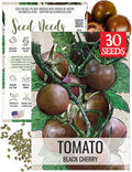 Seed Needs Tomato Seeds for Planting Black Cherry Tomatoes - Non-GMO Heirloom & Untreated Indeterminate Variety to Plant a Home Grown Outdoor Vegetable Garden (1 Pack)