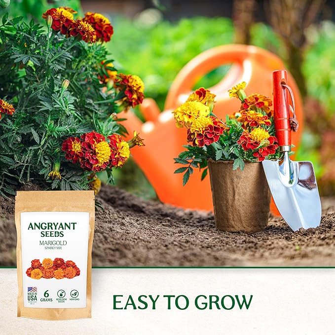 Marigold Sparky Flowered Mix - Beautiful Flowers Seeds for Planting Indoors and Outdoors in Your Home Garden - 1998+ Non GMO Mix Seeds - 100% USA Grown - Annual, Open Pollinated Wildflower Seeds Bulk