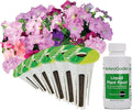 AeroGarden Cascading Petunias Seed pod Kit for AeroGarden Hydroponic Indoor Garden, 6-Pod