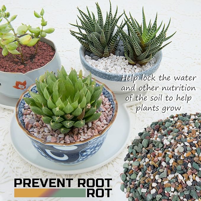 2LBS Horticultural Succulent Rocks Bonsai Mix Succulent Potting Mix Lava Rocks Cactus Soil Potting Mix Amendment