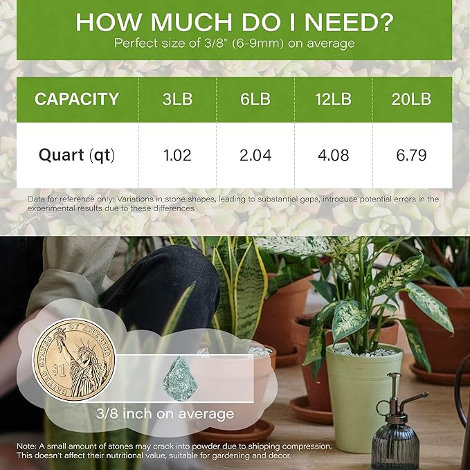 NUPICK 20lb Green Zeolite for Plants, 3/8" Natural Succulent Potting Soil Amendments, Decorative Gravel for Cactus, Bonsai Gritty Rock, Pebbles Pumice for Vase Fillers, Top Dressing