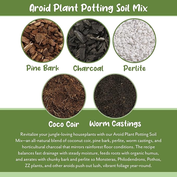 Soil Sunrise Aroid Plant Potting Soil Mix (8 Quarts) for Pothos Devil's Ivy, ZZ Plant, Chinese Evergreen, Dumb Cane Philodendron, Syngonium, Alocasia, Colocasia Etc.