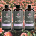 Heirloom Roses Founder’s Fish Fertilizer, Plant Food for Plants, Organic Liquid Emulsion Fertilizer, Garden Fertilizers for Rose Flower and Tomato Outdoor Gardening, 32 Fl Ounces, Pack of 3