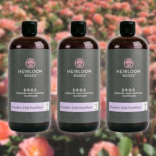 Heirloom Roses Founder’s Fish Fertilizer, Plant Food for Plants, Organic Liquid Emulsion Fertilizer, Garden Fertilizers for Rose Flower and Tomato Outdoor Gardening, 32 Fl Ounces, Pack of 3
