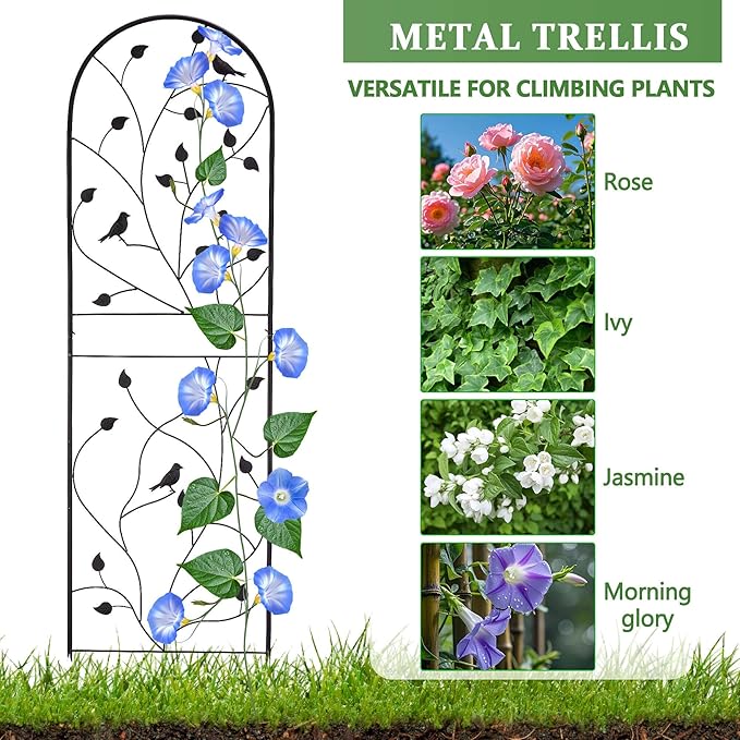 Garden Trellis for Climbing Plants, 71" H x 20" W, 2 Pack Heavy-Duty Metal Garden Trellis, Black Coated Rustproof Trellis for Plants Outdoor, Roses, Ivy, Flowers, and Vines