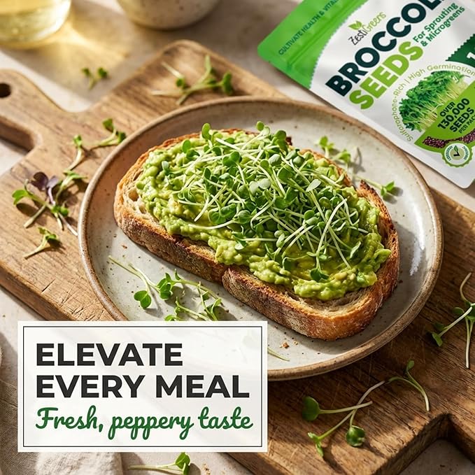 Broccoli Sprouting & Microgreens Seeds - 8oz. Organic, Non-GMO, Heirloom Sprout Seeds Come in Food Grade Colorful Container with Lid for Easier Scooping & Keeping Fresher