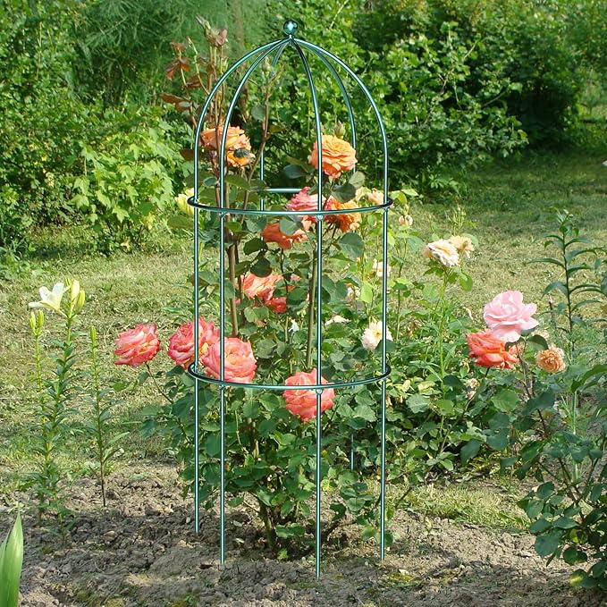 DoCred 3 Pack Plant Support Cage Large Peony Cages and Supports Peony Cage Obelisk Trellis for Climbing Plants Tomato Cages Plant Supports for Outdoor Plants Garden Decor, Green