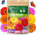 5000+ Zinnia Dahlia Seeds Flower Seeds for 2026 Planting, 2.8 Oz, 5 Varieties (Pink, Yellow, Orange, White, Purple), 80G Mixed Colors and Large Blooms, Open Pollinated - Bulk