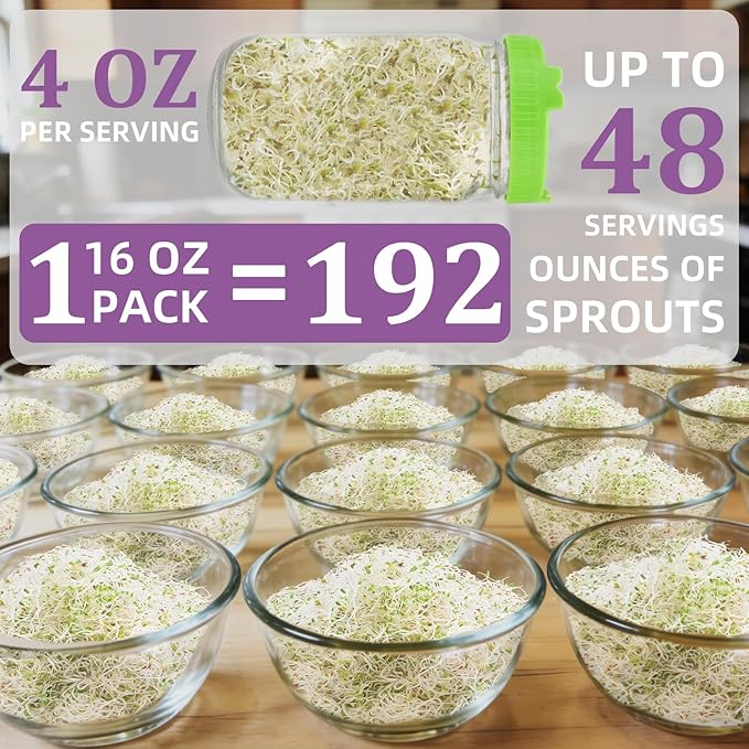 Organic Alfalfa Sprout Seeds (16 oz), Certified Non-GMO, Heirloom Seeds, Premium Alfalfa Sprouting Seeds for Sprouting and Microgreens, High Yield High Germination, Resealable Bag