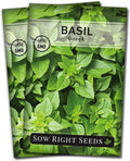 Sow Right Seeds - Greek Basil Seed for Planting - Non-GMO Heirloom Packet with Instructions for Easy Planting and Growing a Kitchen Herb Garden - Indoors & Outdoor - Small Leaved Dwarf Sweet Basil (2)