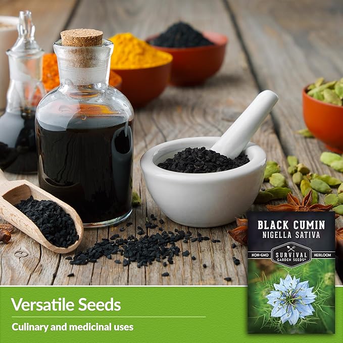 Survival Garden Seeds Black Cumin Seed for Planting - 5 Packets with Instructions to Plant and Grow Beneficial Nigella Sativa Plants in Your Home Vegetable Garden - Non-GMO Heirloom