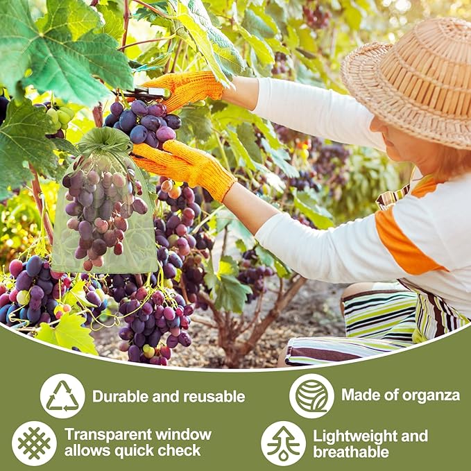 80 Pcs Fruit Protection Bags, 8 x12 Inch Fruit Tree Netting Mesh Bags Drawstring Reusable Green Bag for Fruits & Vegetables, Garden Netting Covers Pest Barrier for Grape Apple Pomelo