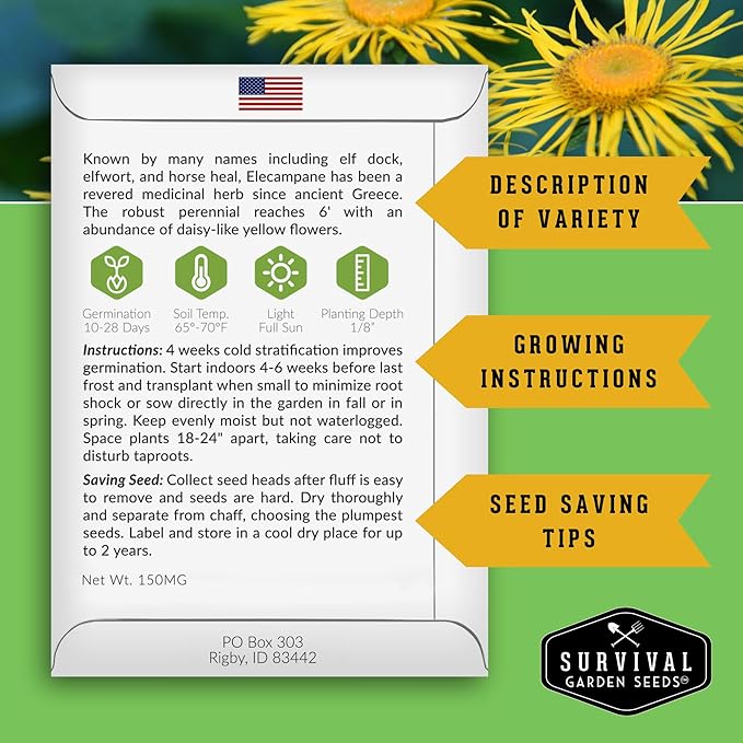 Elecampane Seeds for Planting - Traditional Medicinal Herb (Inula helenium) with Tall Yellow Blooms for Homestead & Healing Gardens - Heirloom Non-GMO - Survival Garden Seeds (1 Pack)