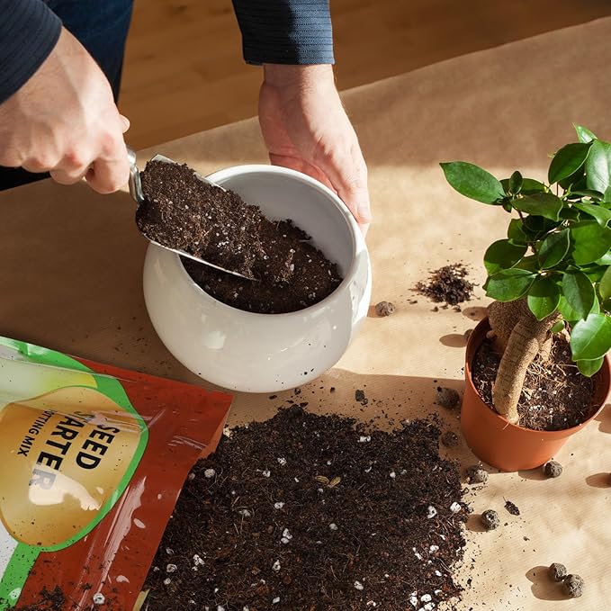 Seed Starter Potting Soil Mix 1qt, Seed Starting Mix for Germination and Growth, Loamy Compost Well-Drainaged Soil Fit for Vegetable, Flower, houseplant