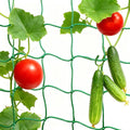 6.6x9.9FT Trellis Netting for Climbing Plants,Trellis Netting with Plant Clips, Heavy-Duty PE Trellis Net for Cucumber, Tomato, Vegetables, Fruits, Sweet Pea Plants