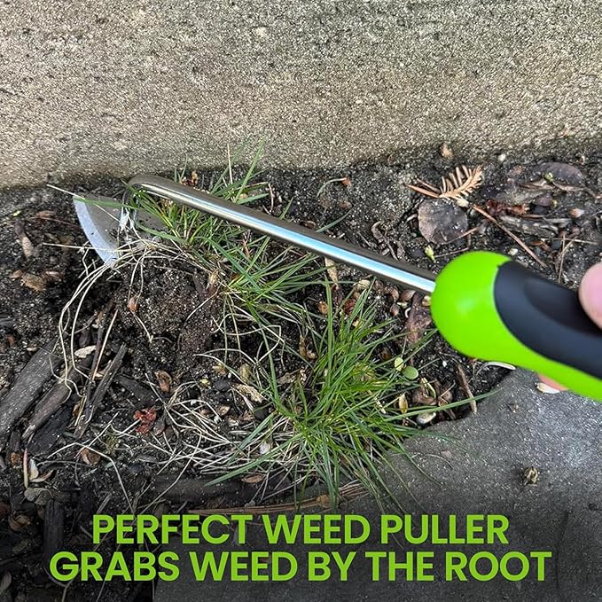 Garden Guru Dandelion Weeder & Root Weeder Tool - Rust Resistant Stainless Steel Weed Puller with Ergonomic Handle for Planting, Weeding, Flower and Vegetable Care in Lawn Garden Yard