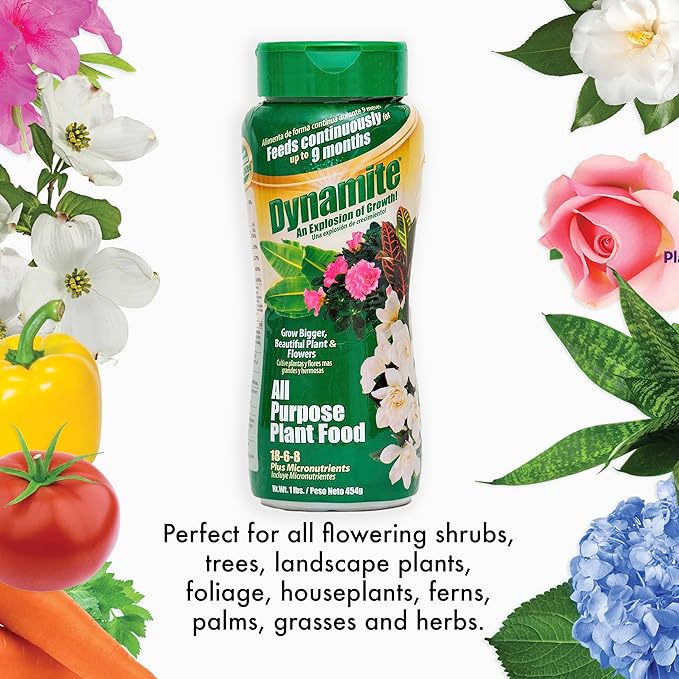 Dynamite 605951 All Purpose Indoor and Outdoor Plant Food, 1-Pound