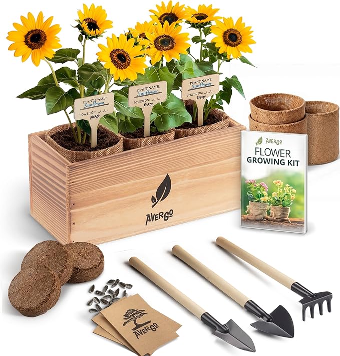 AVERGO Sunflower Seeds Growing Kit – Complete Seed and Plant Indoor & Outdoor Kit with Sunflower Seeds for Planting, Planter, Soil, Tools, Instructions – Ideal for Planting Sun Flowers at Home