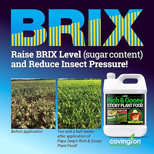 Liquid Big Bloom Fertilizer Plant Food, All-Purpose Liquid Plant Food Concentrate for BRIX Level Support, Flower Fertilizer Bloom Booster Great for All Plant Types, Fruits, Vegetables, Flowers, 32 Oz.