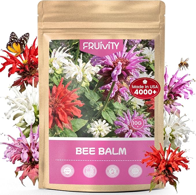 4000+ Bee Balm Seeds for Planting, Color Mix Native Wildflower Seeds, Heirloom & Open Pollinated Perennial Flower Seeds to Plant Outside Flower Herb Garden
