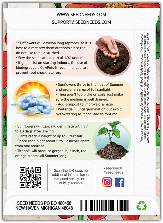 Seed Needs Mexican Sunflower Seeds for Planting Tithonia rotundifolia Flowers - Heirloom & Open Pollinated Flower Seed - Annual Wildflower to Plant a Butterfly Garden (1 Pack)