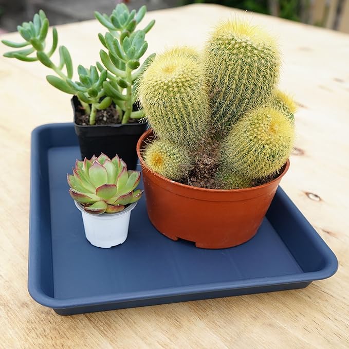 VUWEZ 2 Pack Plant Growing Nursery 1020 Trays, Plant Saucer Tray, Heavy Sturdy Seed Starting Trays, Plant Starter Trays for Indoors No Holes, Seed Starter Growing Tray (22"x11.2", Blue)