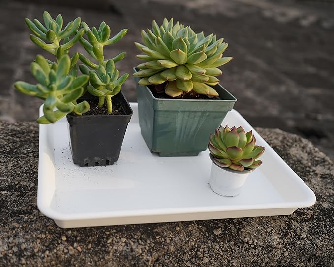 VUWEZ Rectangle Plant Tray, Plant Drip Tray, Plant Pot Saucers, Plant Germination Trays, Plant Saucers, 14.5'' x 11'' x 1.5'' (2 pack), Creamy White