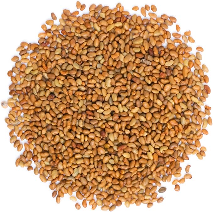 Food to Live - Organic Alfalfa Seeds for Sprouting, 10 Pounds Non-GMO, Edible Seeds, Pure, Vegan, Kosher. Rich in Vitamin K, Vitamin C. High Germitation Rate. Grow Sprouts, and Microgreens for Salads
