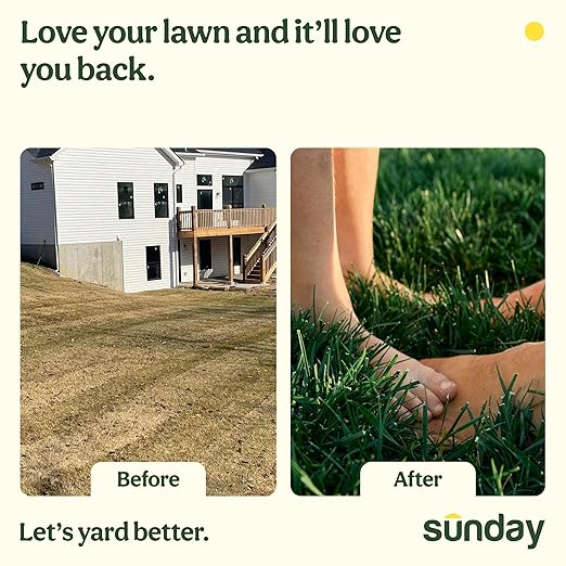 Sunday Season of Sunday Lawn Care Kit, 4-Month Feeding System, Includes Lawn Kickstart, Water Focus, Green Machine + Soil Test Kit & Analysis, for All Grass Types, Covers up to 5,000 sq ft
