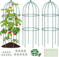 SUNYRISY 3 Pack Metal Plant Support Cage for Tomato Peony Cucumber, 31.5in H Garden Arch Obelisk Trellis for Climbing Plants Supports Outdoor for Vine Vegetables Flowers, Green
