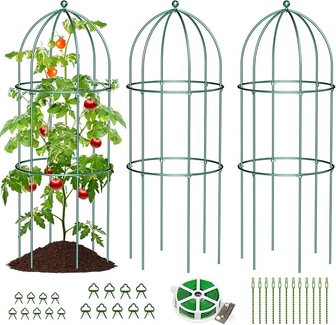 SUNYRISY 3 Pack Metal Plant Support Cage for Tomato Peony Cucumber, 31.5in H Garden Arch Obelisk Trellis for Climbing Plants Supports Outdoor for Vine Vegetables Flowers, Green