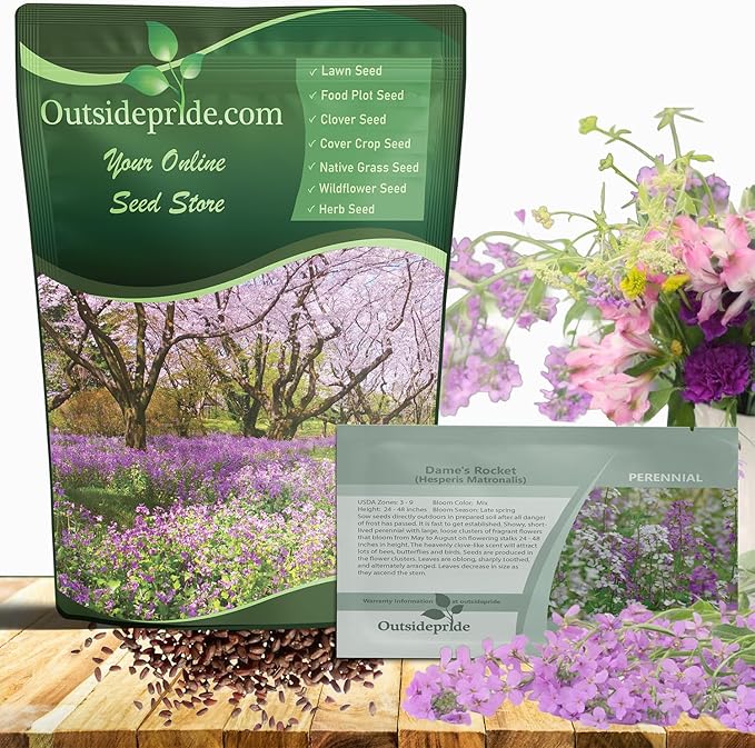 Outsidepride Dame's Rocket Flower Seeds - 5000 Pcs Perennial, Easy to Grow, Deer Resistant & Self-Seeding Wildflower Seeds for Planting Vibrant and Fragrant Blooms in Pollinator & Butterfly Gardens