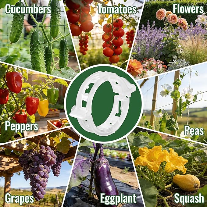 300Pcs Thickened Tomato Clips, Plastic Trellis Clips for Grape Vine, Tomato Vine, Vegetable Plants, Plant Support Clips to Help Plants Grow Upright & Healthier
