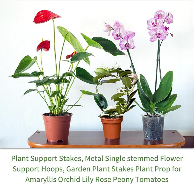 20Pcs Plant Support Stakes with 30 Pcs Plant Clips, Plant Sticks for Indoor and Outdoor Plants, Orchid Clips and Stakes,16inch Tall Bendable Single Stem Flower Stakes Bendable (20, Green-16inch)