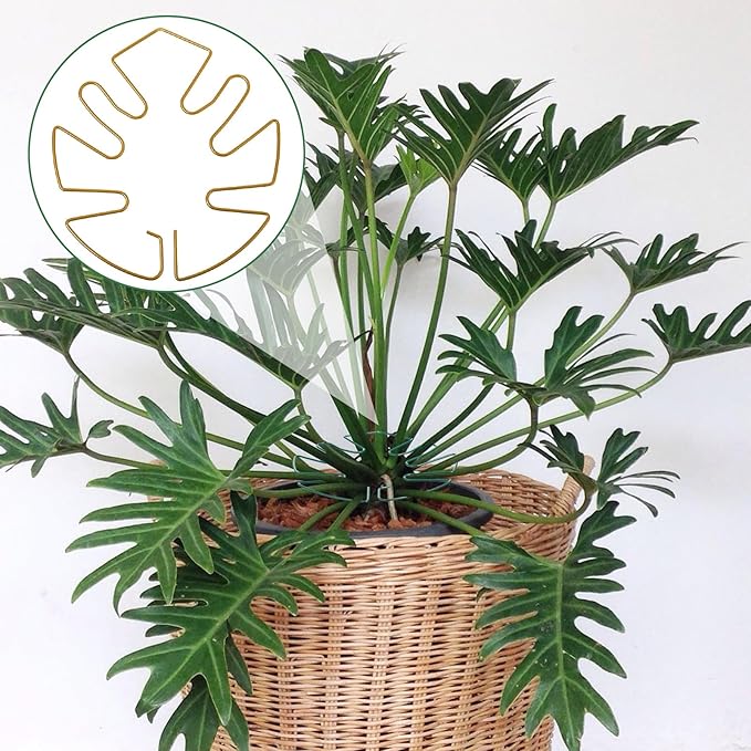 5 PCS Iron Monstera Plant Stabilizer, Metal Monstera Plant Stabilizer for Indoor Plants, Plants Stem Holder for Thriving Growth Indoor Plants(Gold)