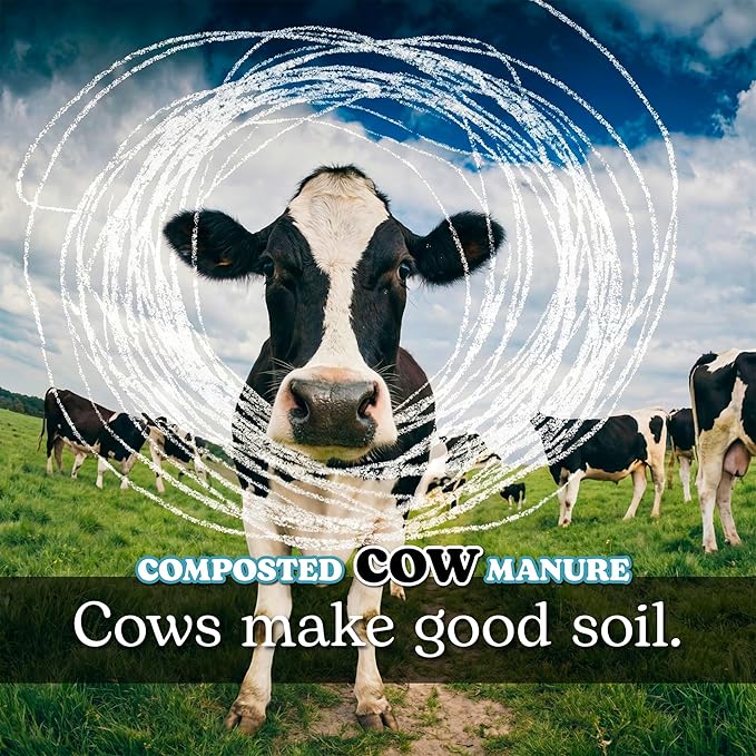 Home & Country USA Organic Composted Cow Manure - 4 Quart for Gardening & Soil Enrichment