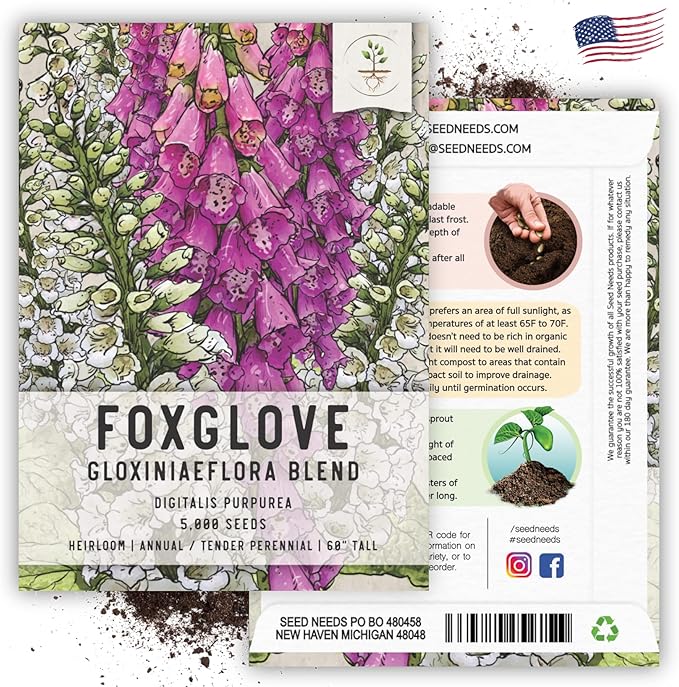 Seed Needs Gloxiniaeflora Foxglove Seeds for Planting Mixed Fox Gloves - Heirloom & Open Pollinated Flowers to Plant an Outdoor Butterfly Garden with Colorful Wildflowers (2 Packs)