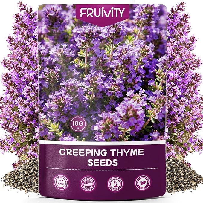 20000+pcs Creeping Thyme Seeds for Planting, Perennial Ground Cover Plants Heirloom Flowers Seeds Fragrant Herb Seeds for Lawns & Paths Garden