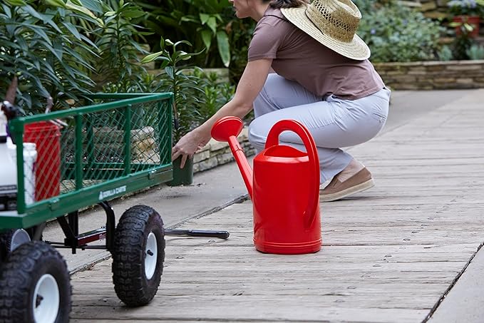 Consolidated Plastics Durable Swiss Watering Can with UV Protection, Ergonomic Handle for Indoor/Outdoor Gardening, Made in Switzerland (10 Liter, Red)