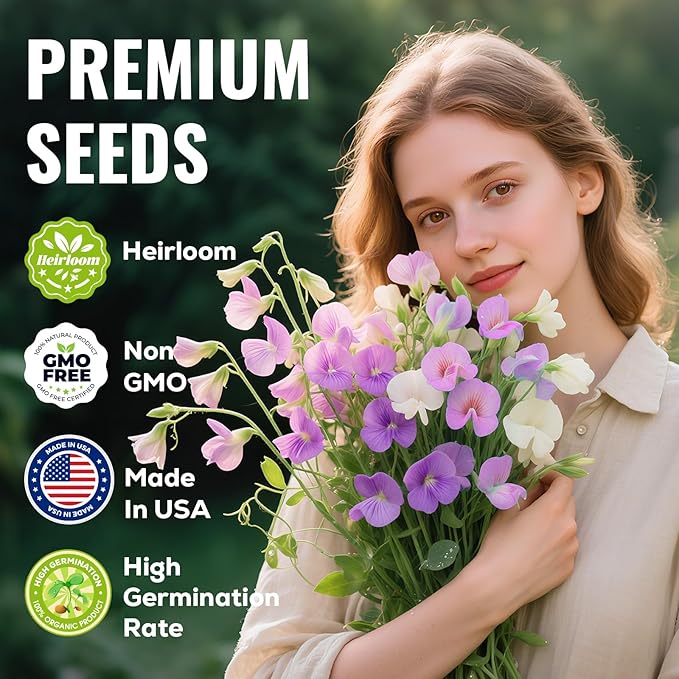 Sweet Pea Seeds 200 Seeds - Non-GMO Heirloom Seeds Brightly Colored Flowering Vines for Pergolas, Flower Beds, Balconies and Patios