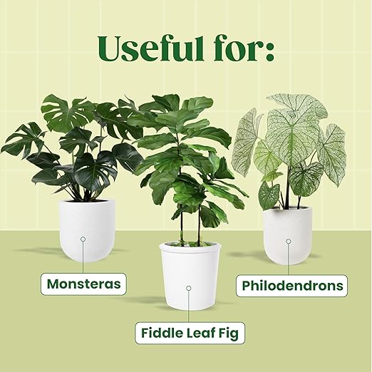 Root Rot Treatment & Plant Transplant Shock Recovery – Liquid Supplement for Indoor Plants, Fiddle Leaf Fig, Monstera & Pothos | Heals Roots, Prevents Brown Spots & Leaf Drop, 8 oz – Vital Root+