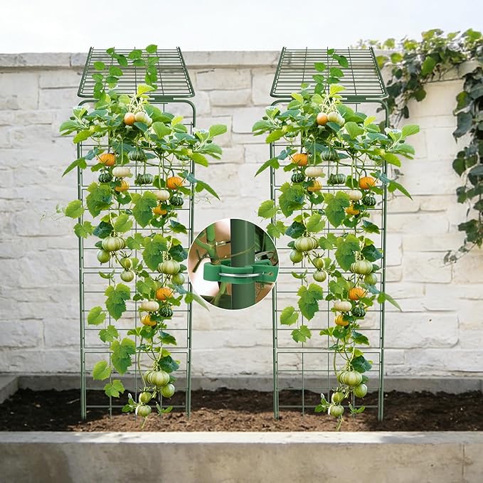 Heavy Duty A-Frame Metal Garden Trellis for Climbing Plants, 50"x17" Inch Tall Plant Support with Clips & Garden Ties for Cucumbers, Squash, Beans & Vines (2)