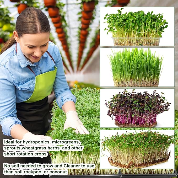 64PCS Microgreens Kit, 5" X 5" Hydroponic Sprouting Pads Microgreen Grow Mat Indoor Organic Production for Microgreen Starter Tray Wheatgrass Sprouts