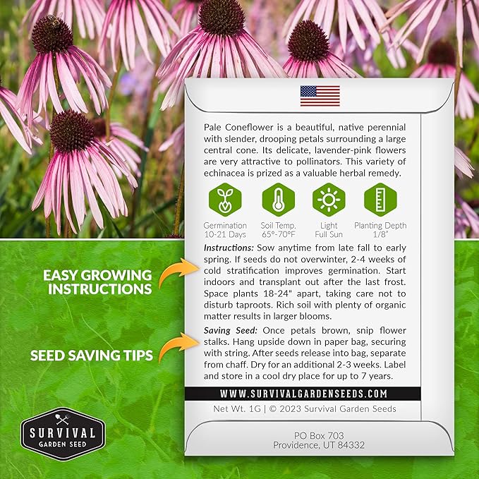 Survival Garden Seeds Pale Purple Coneflower Seeds for Planting - 1 Packet with Instructions for Growing Lavender-Pink Echinacea Pallida in Your Flower Garden - Non-GMO Heirloom Native Wildflower