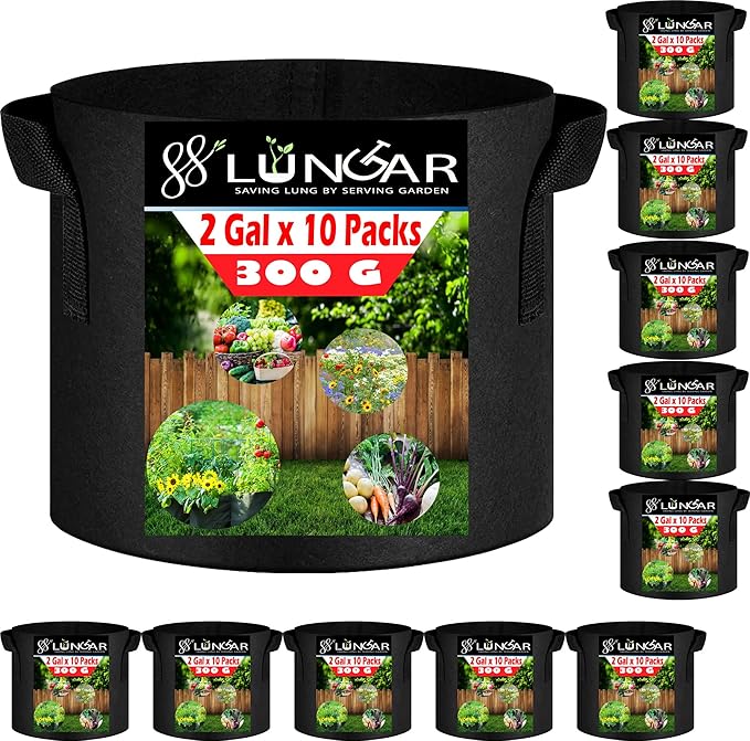 Plant Grow Bags - 2 Gallon 10 Packs Planter Pot, Thickest Aeration 300G Non-Woven Fabric, Reinforced Handles for Weatherproof Nursery Pot, Enhanced Double Seam