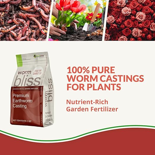 Neem Bliss (1lb) + Worm Bliss (1 Qt) + Myco Bliss (200 g) - Organic Worm Castings for Plants - Neem Meal Fertilizer - Mycorrhizal Fungi Inoculant - Organic Fertilizers for Plants, Flowers, & Gardening