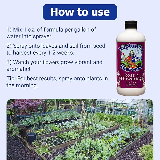 Neptune's Harvest Rose & Flowering Fertilizer (2-6-4) - 18oz Pint - Organic Liquid Food for Vibrant Blooms & Growth - Promotes Healthy Foliage - Ideal Fertilizer for Indoor & Outdoor Use