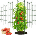 K-Brands Tomato Cage - Tomatoes Plant Stakes Support Cages, Trellis for Garden & Pots, Plant Support Structures for Vegetables and Climbing Plants (6 Pack - Tall Upto 68 inches)